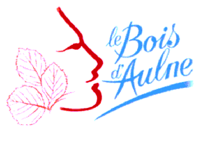 Site du collège du Bois d‘aulne